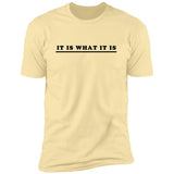 It Is What It Is - T-Shirt